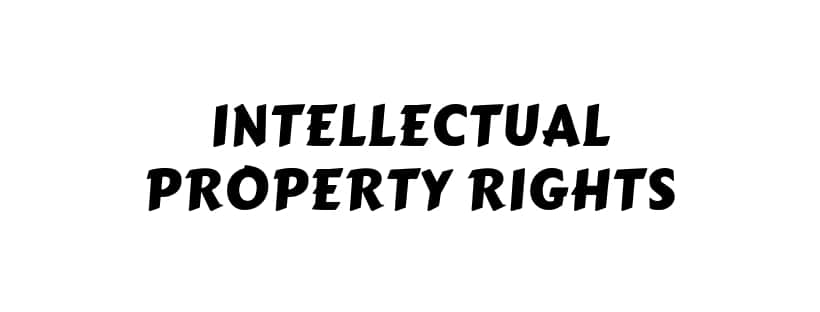 Types of Intellectual Property Rights, Intellectual Property Needs