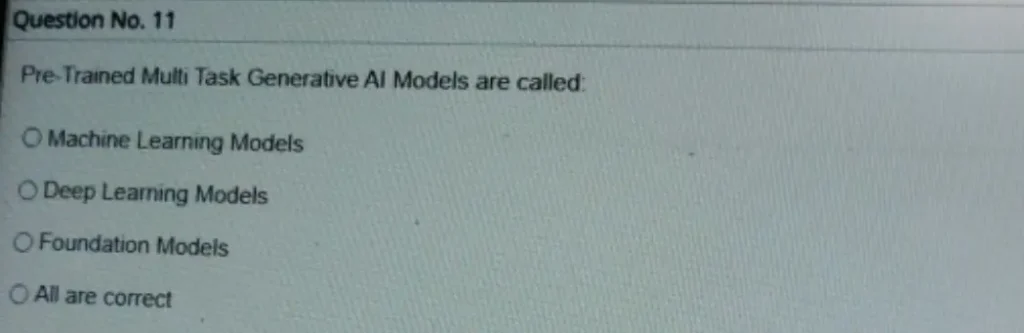 Pre-Trained Multi Task Generative AI Models are called