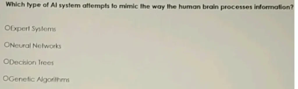 Which type of Al system attempts to mimic the way the human brain processes information