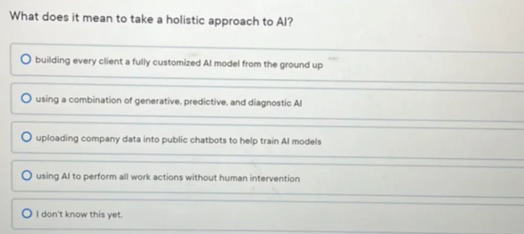 What does it mean to take a holistic approach to Al?