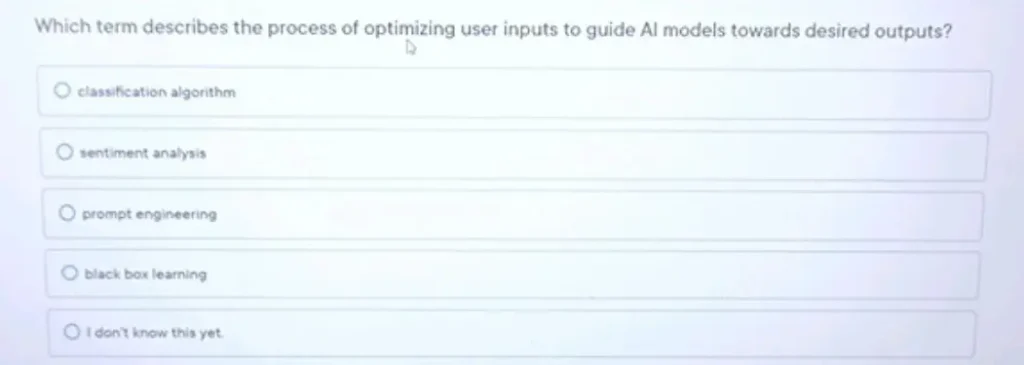 Which term describes the process of optimizing user inputs to guide Al models towards desired outputs
