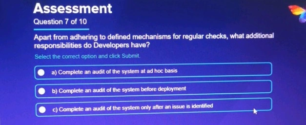 Apart from adhering to defined mechanisms for regular checks, what additional responsibilities do Developers have?