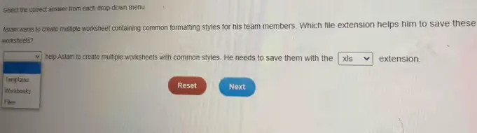 Select the correct answer from each drop-down menu. Aslam wants to create multiple worksheet containing common formatting styles for his team members. Which file extension helps him to save these worksheets? 