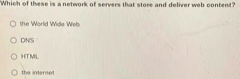 Which of these is a network of servers that store and deliver web content?
A. DNS
B. HTML
C. The Internet
D. The World Wide Web
