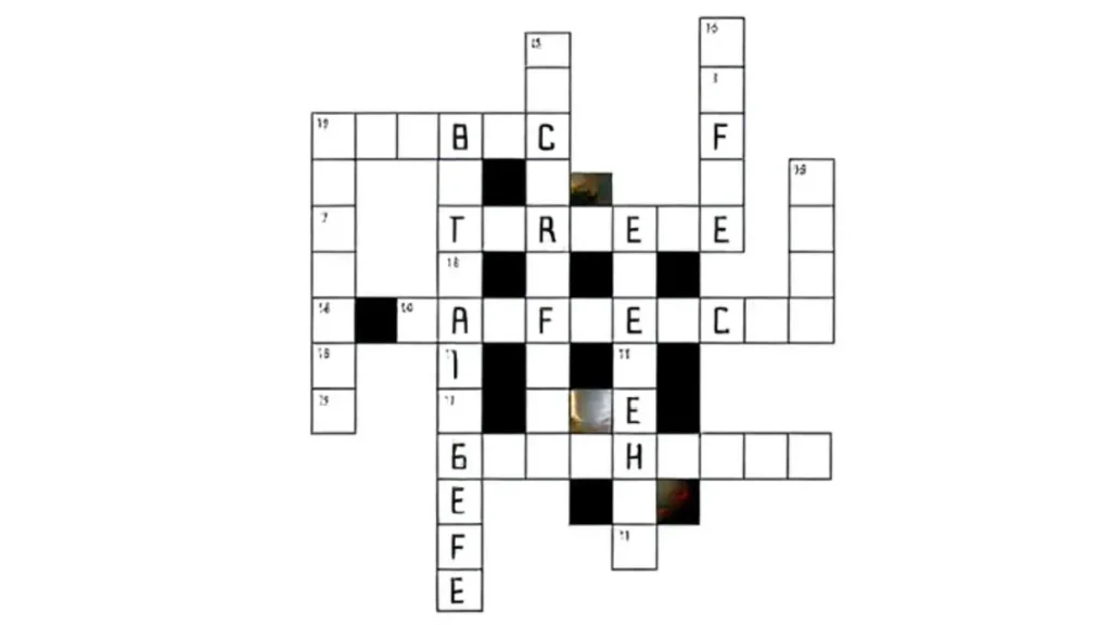 New York Times Crossword Clue Answers