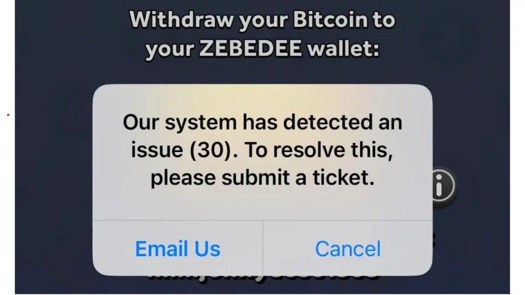 How to Fix Error Code 30 in Bitcoin Miner (ZEBEDEE Withdrawal Issue)