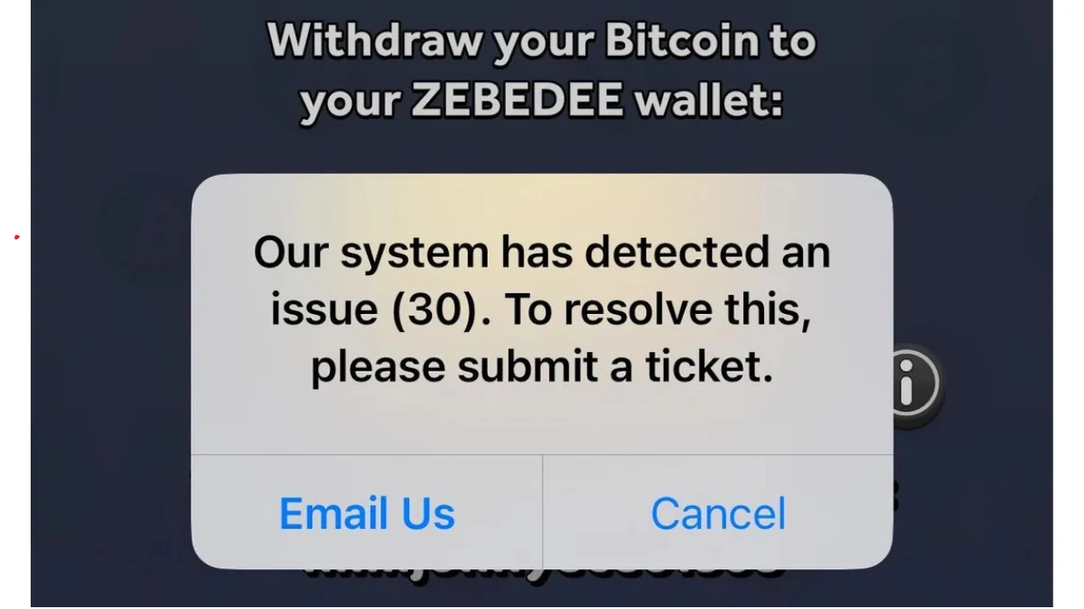 How to Fix Error Code 30 in Bitcoin Miner (ZEBEDEE Withdrawal Issue)
