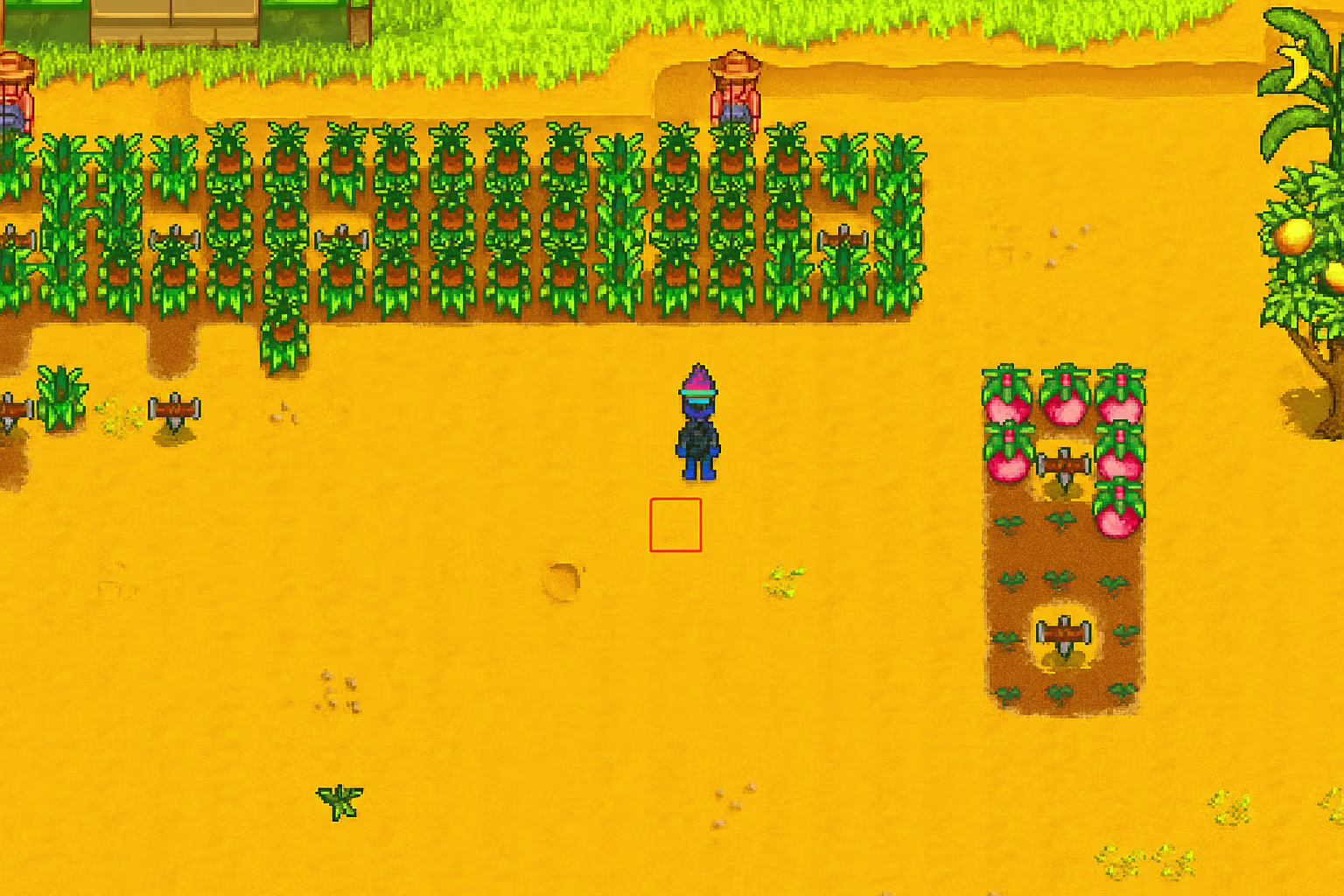 Stardew Valley: What to Grow for the Ginger Island Frog Quest (Full Guide)