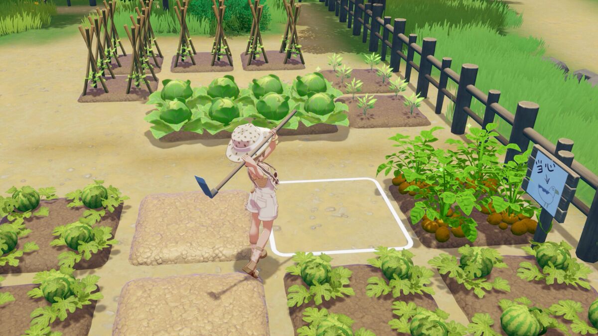 Starsand Island Treasure Chest Locations Guide: All Main Island & Moonlit Forest Chests