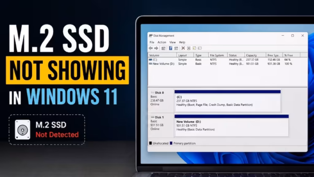 M.2 SSD Not Showing in Windows 11